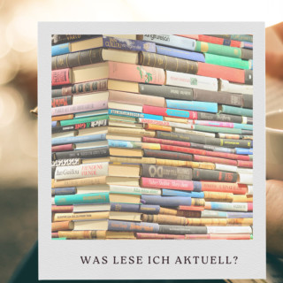 Folge 24: Was ich aktuell Lese und warum?